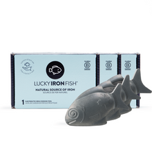 3-Pack Lucky Iron Fish